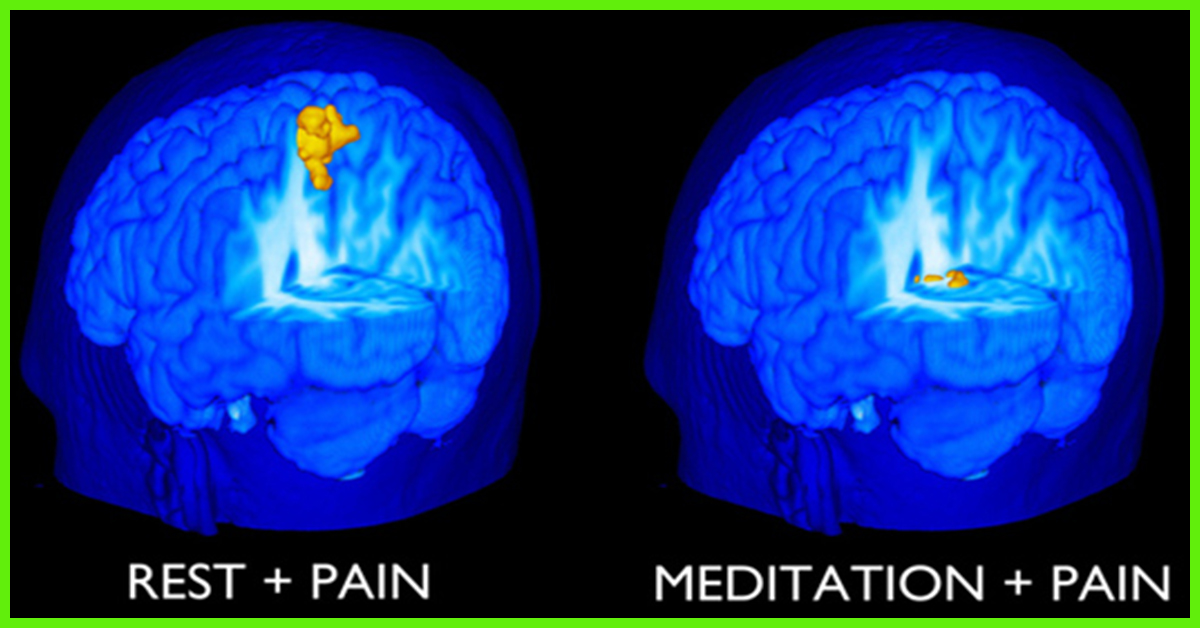 5 Types Of Brain Waves And Effects Of Meditation On Them