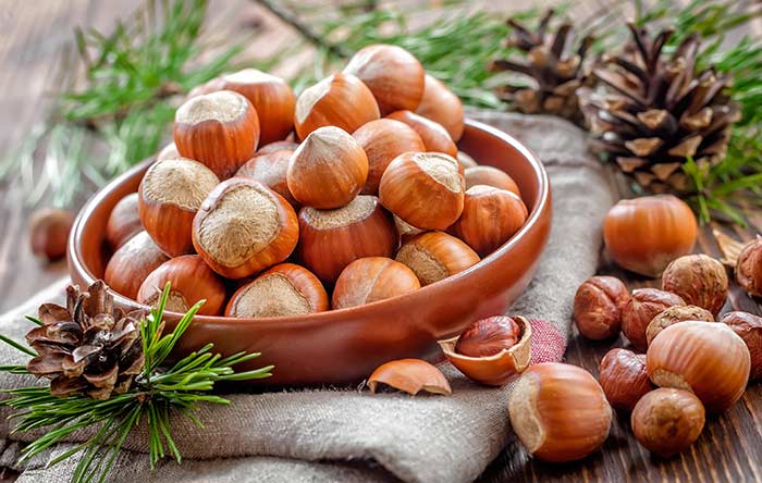 Top 10 Nuts You Should Eat For Good Health