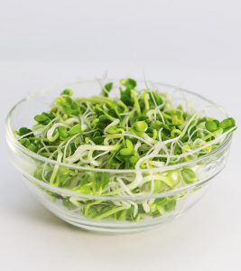23 Amazing Benefits Of Alfalfa For Skin, Hair, And Health