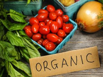 10 Pros And Cons Of Eating Organic Foods