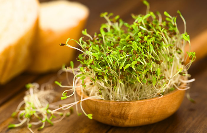 Alfalfa sprouts in wooden spoon for aiding weight loss