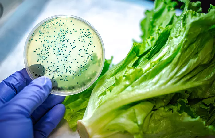 Organic vegetable may be contaminated by E. Coli