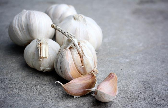 Garlic