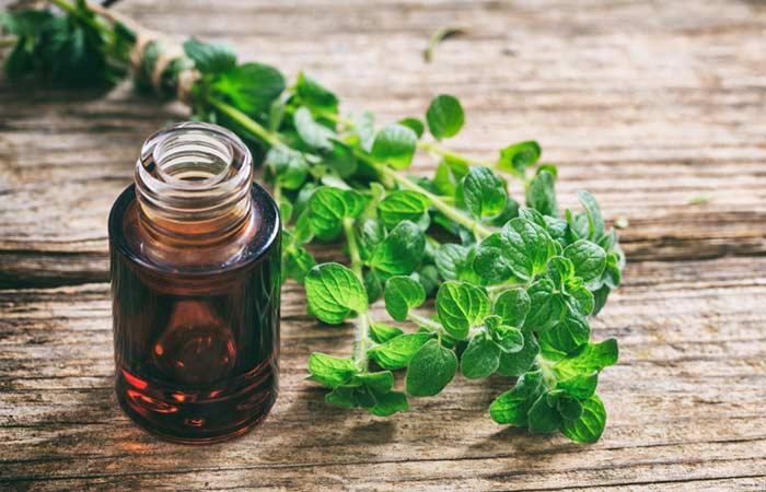 Oregano Oil