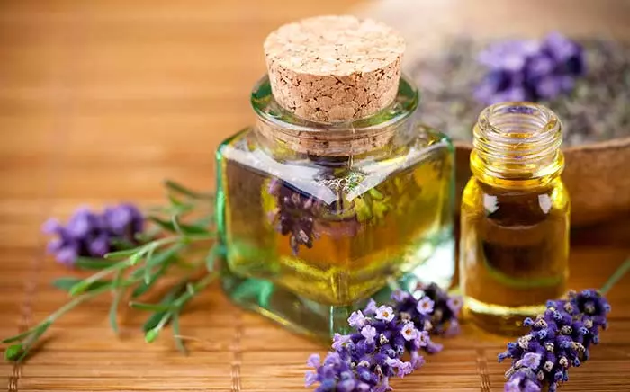 Lavender is an herb for hair growth
