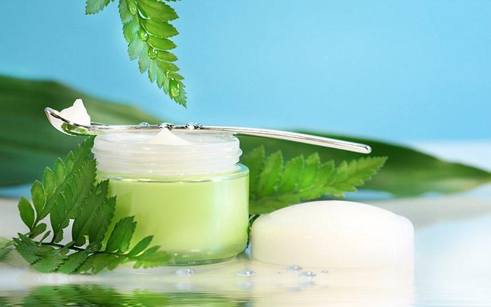 Homemade Night Cream - Green Tea Detoxifying Cream Image: Shutterstock
