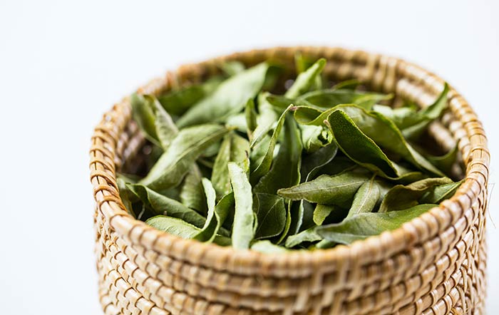 Curry leaves to treat gray hair in kids
