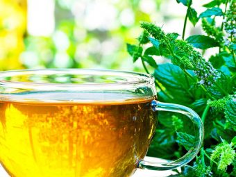 Peppermint Tea For Weight Loss – Health Benefits And Recipes