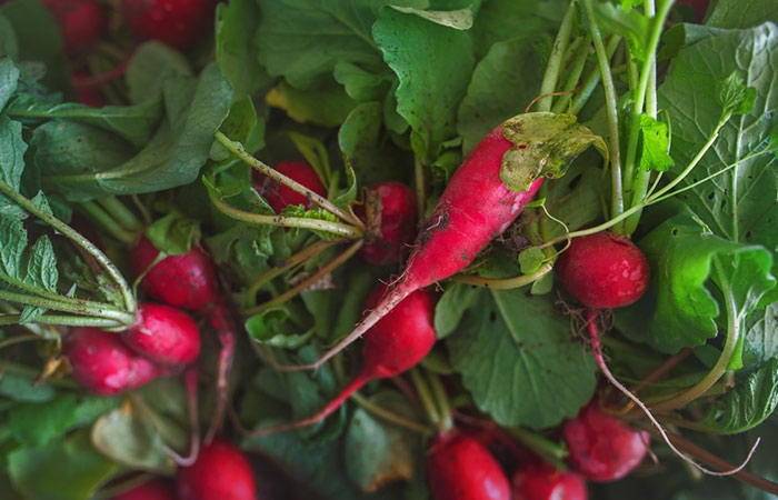 Fresh red radish with leaves