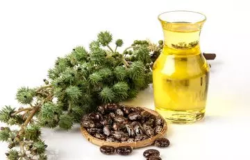 What is castor oil