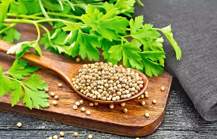 Coriander seeds and leaves