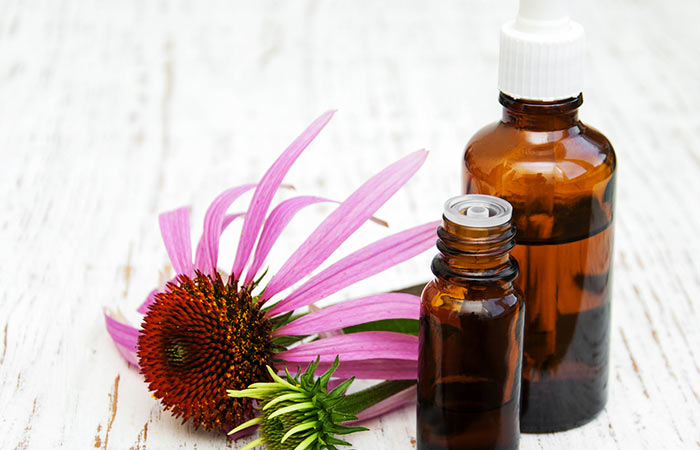 Echinacea for summer cold