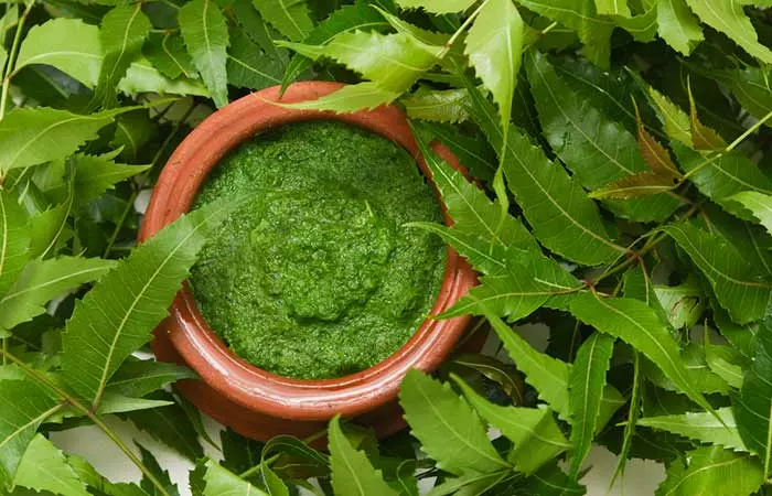 Neem to get rid of intestinal parasites