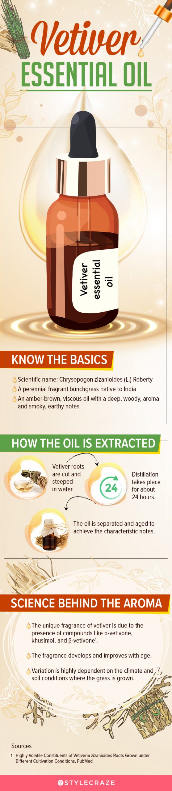 vetiver essential oil (infographic)