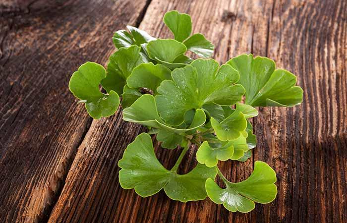 Home Remedies For Cellulitis - Ginkgo Biloba