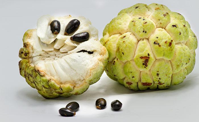 custard apple seed hd à®à¯à®à®¾à®© à®ªà® à®®à¯à®à®¿à®µà¯