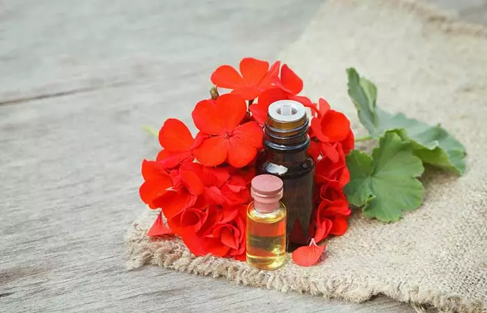 Best Essential Oils For Skin Care - Geranium Oil For Oily Skin