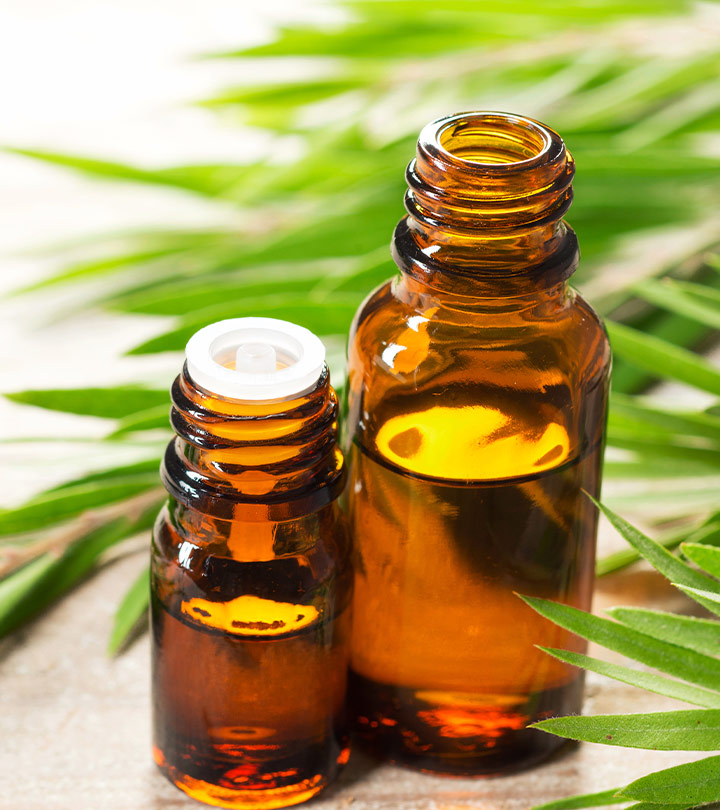 How To Use Tea Tree Oil To Get Rid Of Head Lice?
