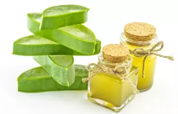 Neem oil and aloe vera for scabies management