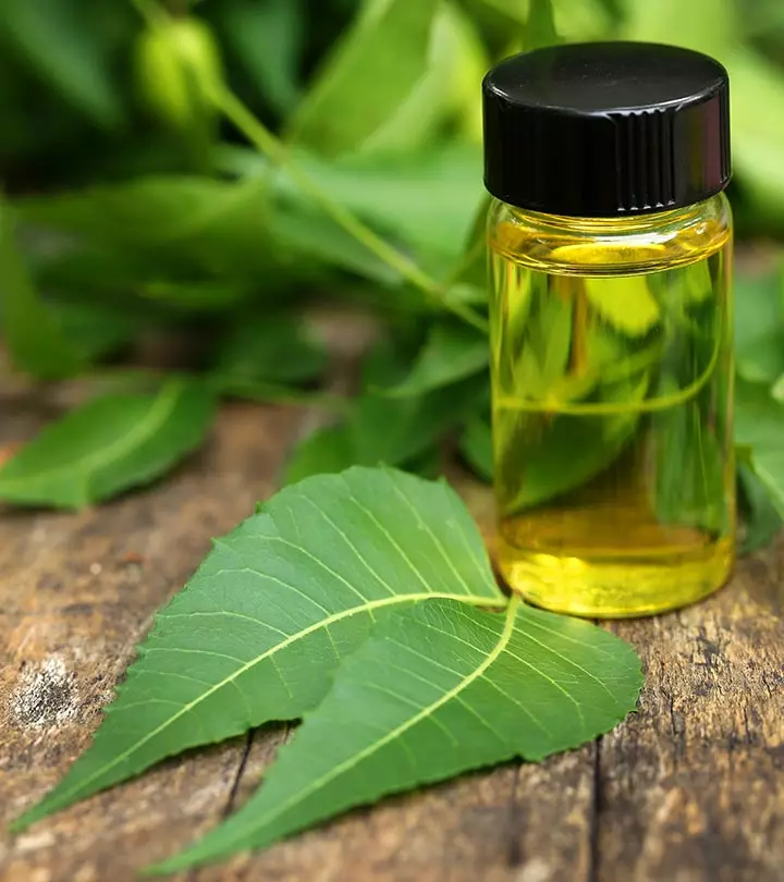 Neem Oil Tips To Use It For Scabies Treatment