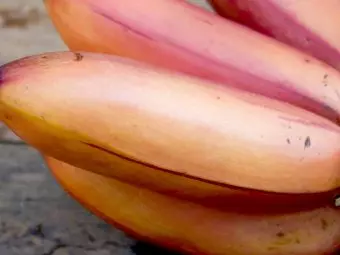 9 Red Banana Benefits And How They Are Different From Yellow