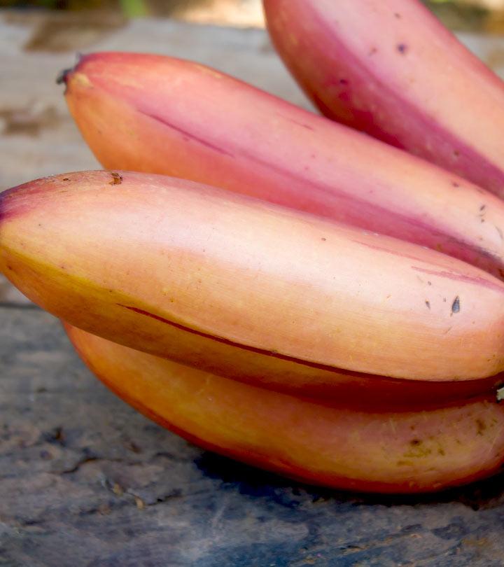 klarhed ale Lily 9 Red Banana Benefits And How They Are Different From Yellow