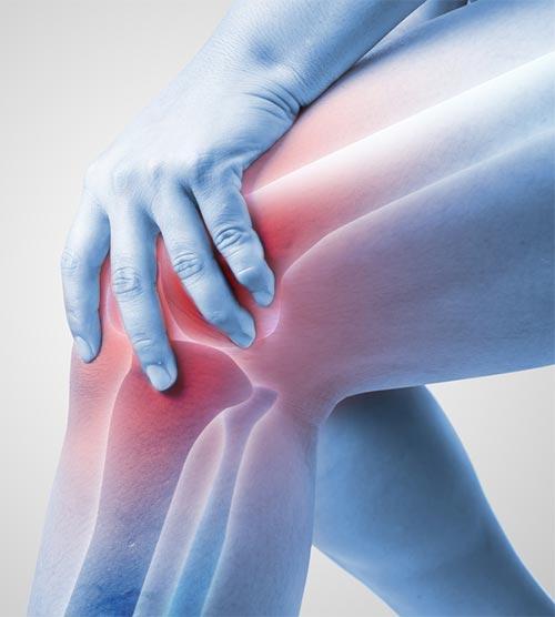 Bone Broth How To Make It + 8 Miraculous Benefits