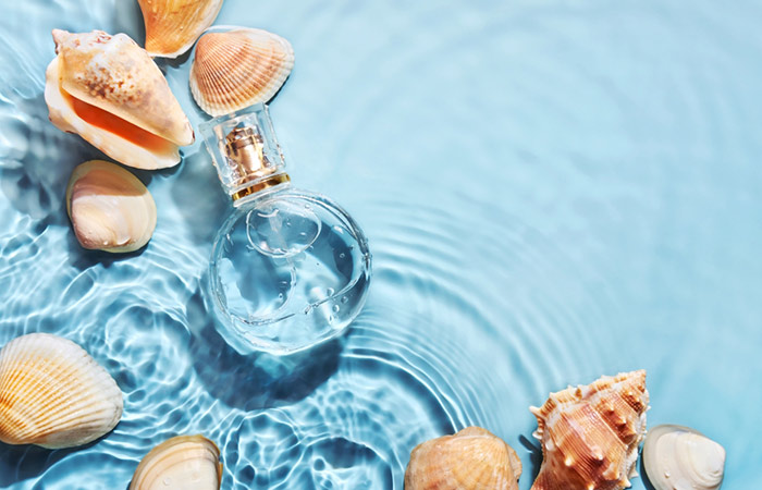 Glass perfume bottle kept with seashells