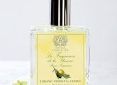 10 Best Lemon Verbena Perfumes That You Should Try In 2022