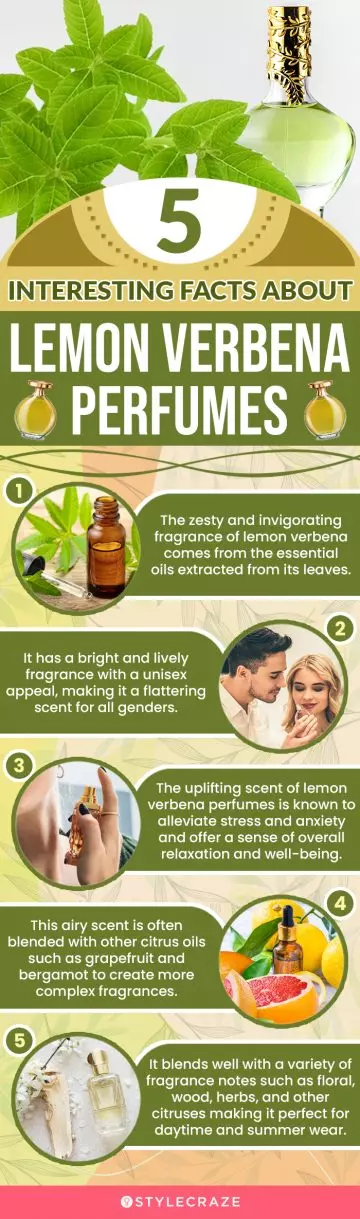 5 Interesting Facts About Lemon Verbena Perfumes (infographic)
