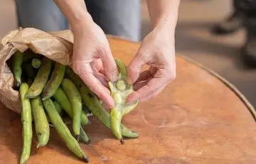 Person peeling fava beans on kitchen counter