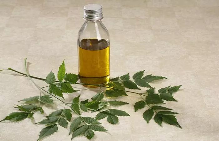 Neem oil for angular cheilitis