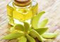 11 Benefits Of Ylang Ylang Essential Oil, Types, & Side Effects