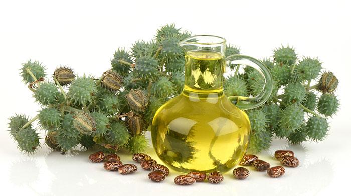 3. Castor Oil