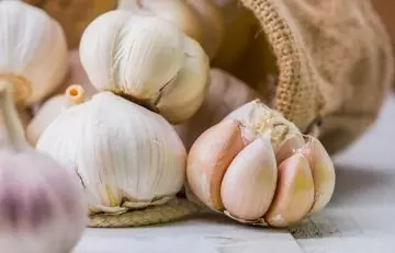 Garlic for curing angular cheilitis