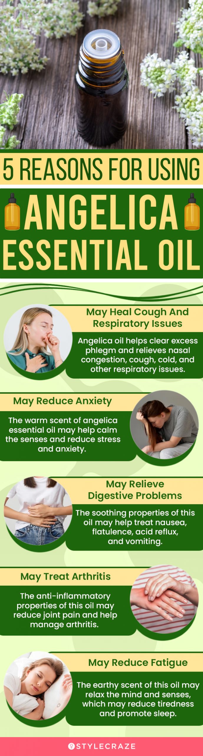 5 reasons for using angelica essential oil (infographic)