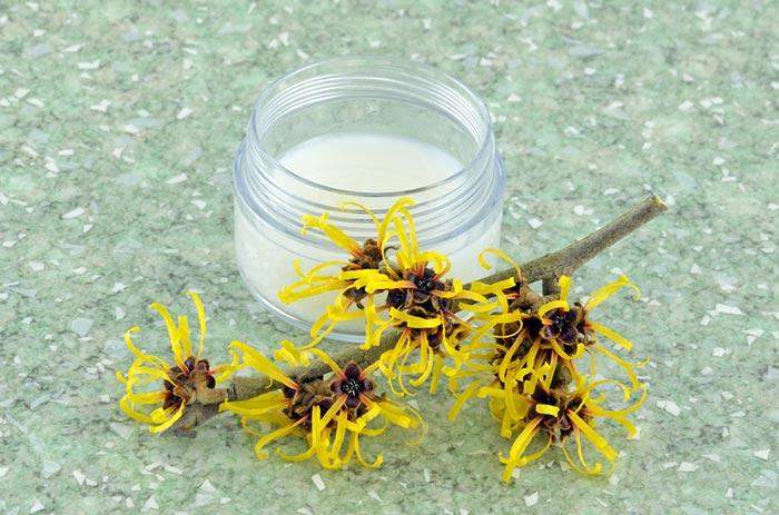  5. Witch Hazel