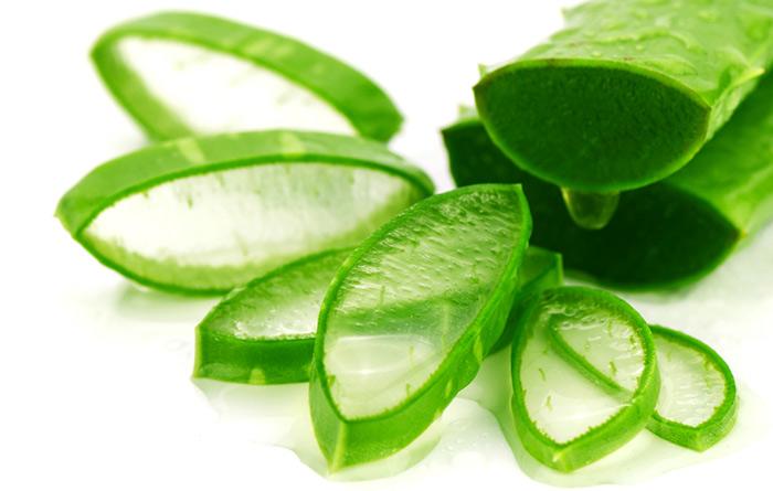  8. Aloe Vera