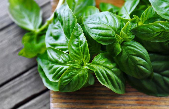 Basil-Leaves