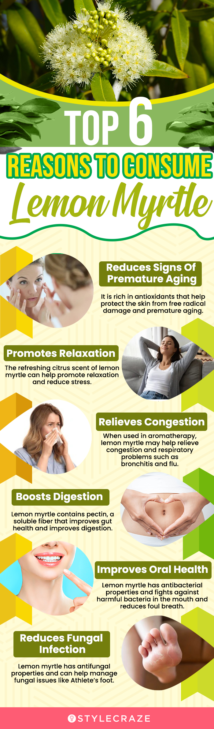 top 6 reasons to consume lemon myrtle (infographic)
