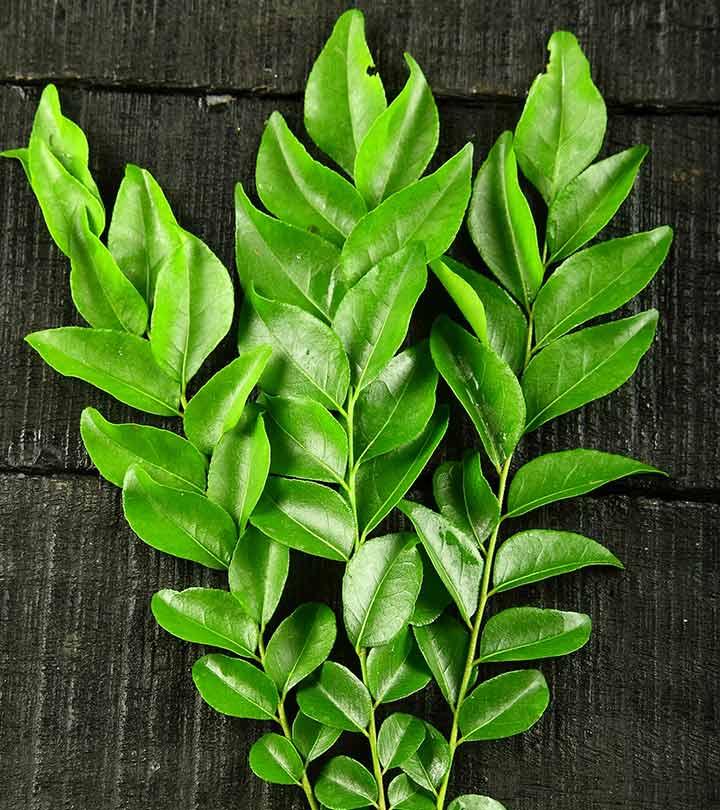 9 Top Uses Of Curry Leaves For Hair Growth  Feminain