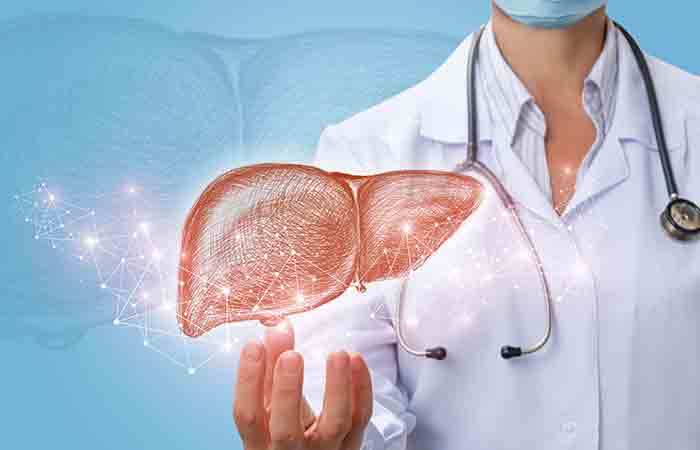 Health care worker showing representation of liver