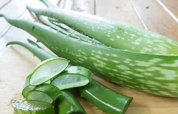 Aloe vera gel for herpes