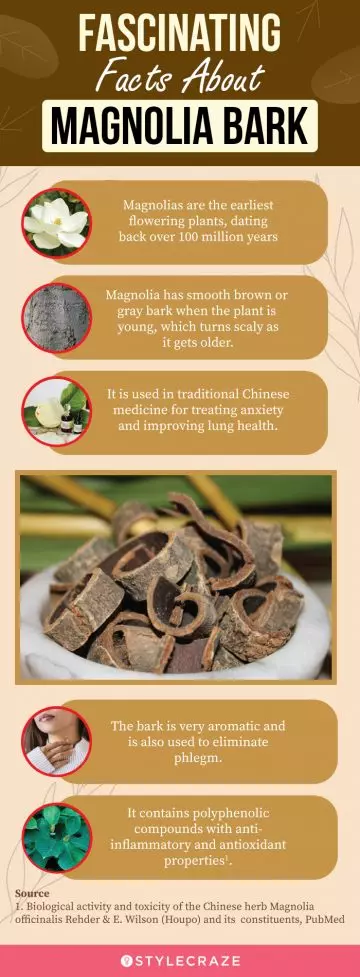 some fascinating facts about magnolia bark (infographic)