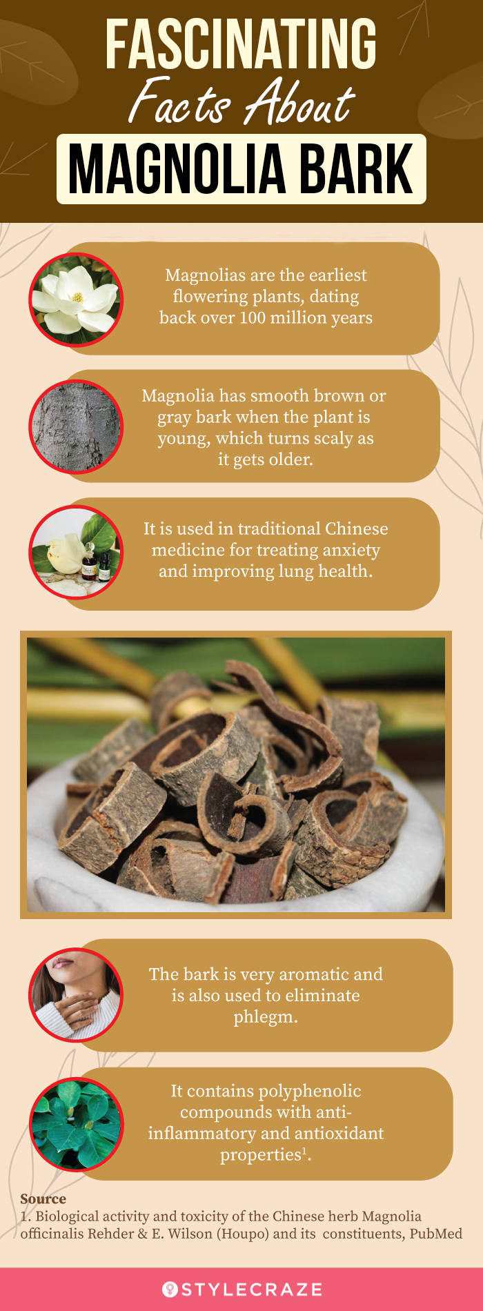 some fascinating facts about magnolia bark [infographic]