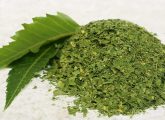 10 Amazing Benefits Of Neem Powder And How To Use It