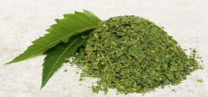 neem-powder