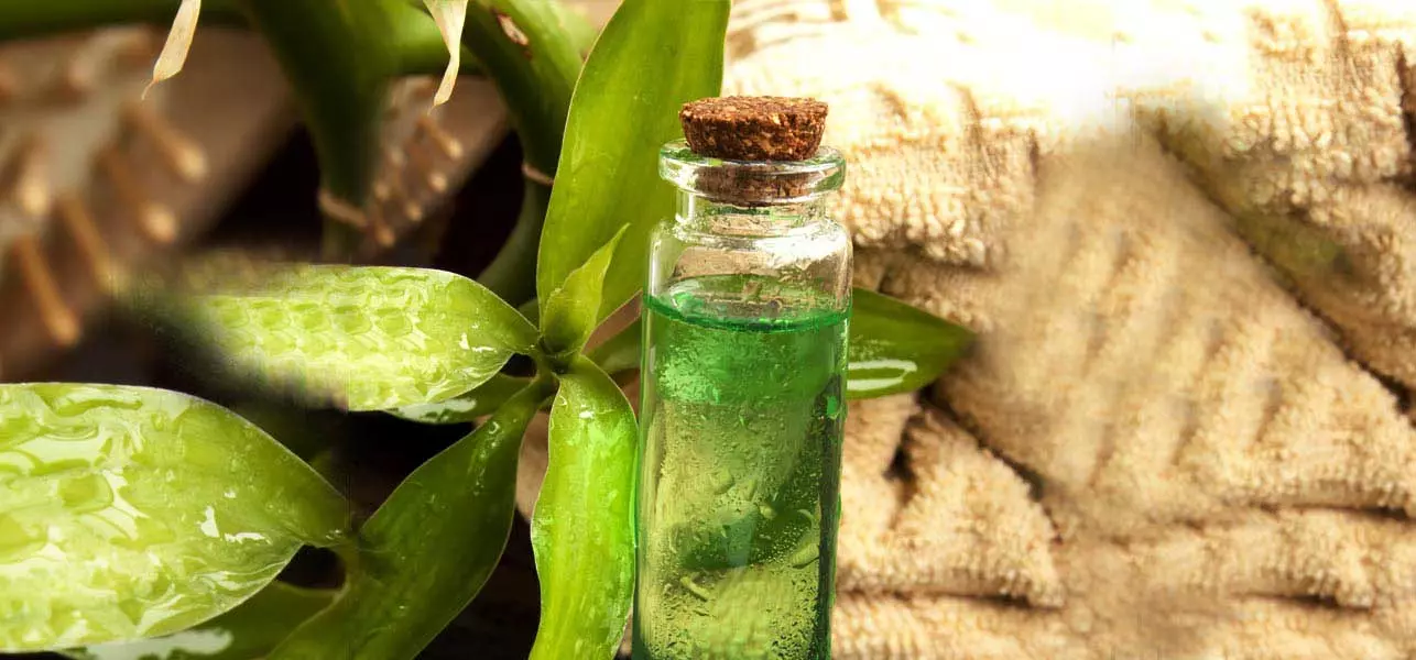 Tea Tree Oil Benefits - Dia Mirza’s Beauty Secrets