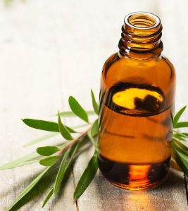 茶树油可以帮助管理rosacea吗？如何使用它？