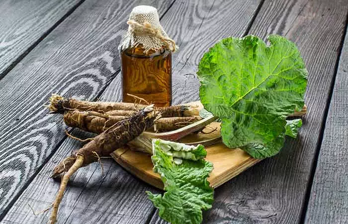 Burdock root for liver cirrhosis Burdock root for liver cirrhosis